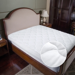 Naturelife Mattress Protecto