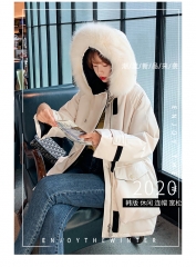 2020 new winter cotton-padded jacket for women in 