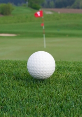 Golf  ball