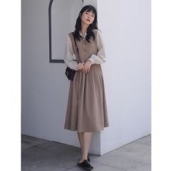 Autumn 2020 new fashion long sleeve dress