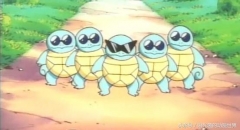 杰尼杰尼龟 可爱听话野生杰尼龟 包活