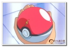 精灵球精灵球真的可以塞进去的精灵球