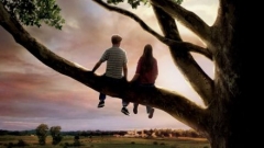 Flipped 怦然心动 书