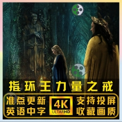 力量之戒指环王力量之戒全集4K超清画质 休闲娱乐虚拟秒发