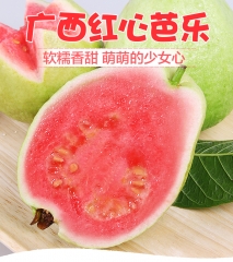 广西红心芭乐番石榴热带水果新鲜应季当季蕃巴乐整箱