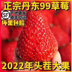 丹东99草莓新鲜丹东九九草莓丹东久久草莓东港草莓红颜奶油大草莓