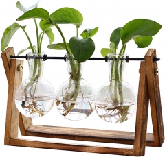 XXXFLOWER Plant Terrarium with Wooden Stand, Air P