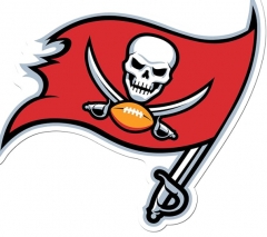 坦帕湾海盗队汽车贴花 20.32 cm 床单 球队颜色