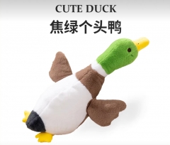 cute duck