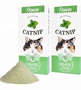 猫薄荷，猫咪爱吃的叶子