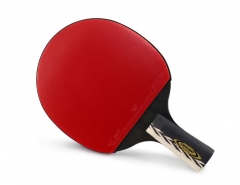 克洛斯威乒乓球球拍一副