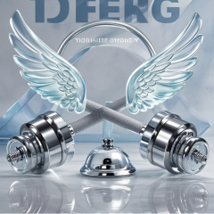 哑铃家用专业运动健身器材1kg/两支