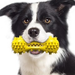 Pets dog baby outdoor chew toys 宠物狗狗宝贝户外咬嚼玩具